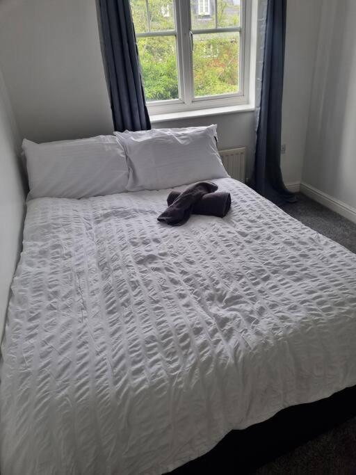 Maidstone Villa 3 Bedroom Free Sports Channels,Parking Sleeps 7 Kültér fotó